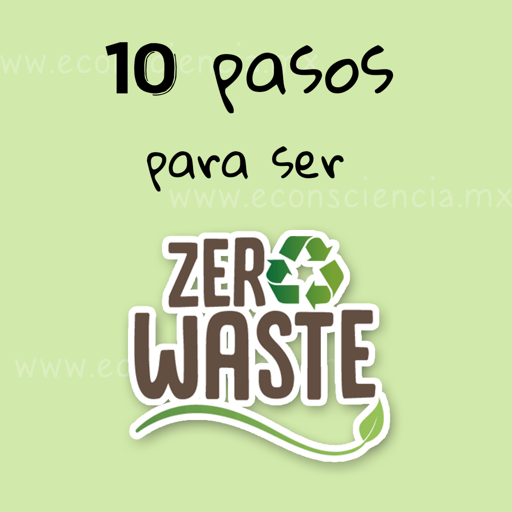10 pasos para ser Zero Waste