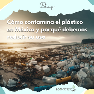 Cómo contamina el plástico en México y porqué debemos reducir su uso