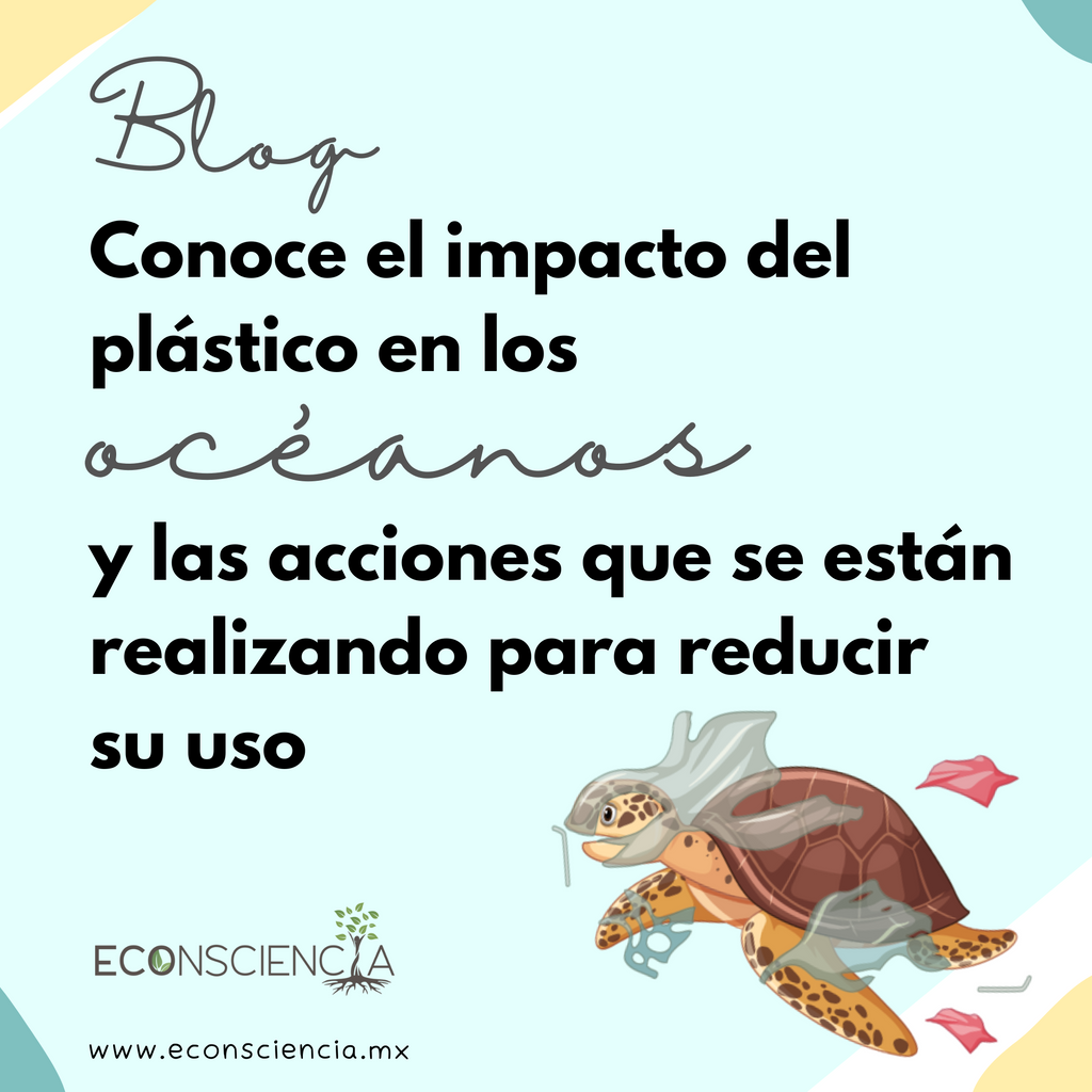 Conoce el impacto del plástico en los océanos y las acciones que se están realizando para reducir su uso