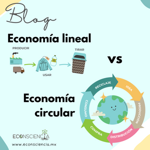 Economía lineal vs Economía circular: un nuevo enfoque para un futuro sostenible